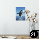 ポスター ウォールステッカー シール式ステッカー 飾り 127×178mm 2L 写真 フォト 壁 インテリア おしゃれ 剥がせる wall sticker poster 010806 シャチ 生き物 海