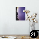 ポスター ウォールステッカー シール式ステッカー 飾り 127×178mm 2L 写真 フォト 壁 インテリア おしゃれ 剥がせる wall sticker poster 014964 風景 自然 背景 夜空