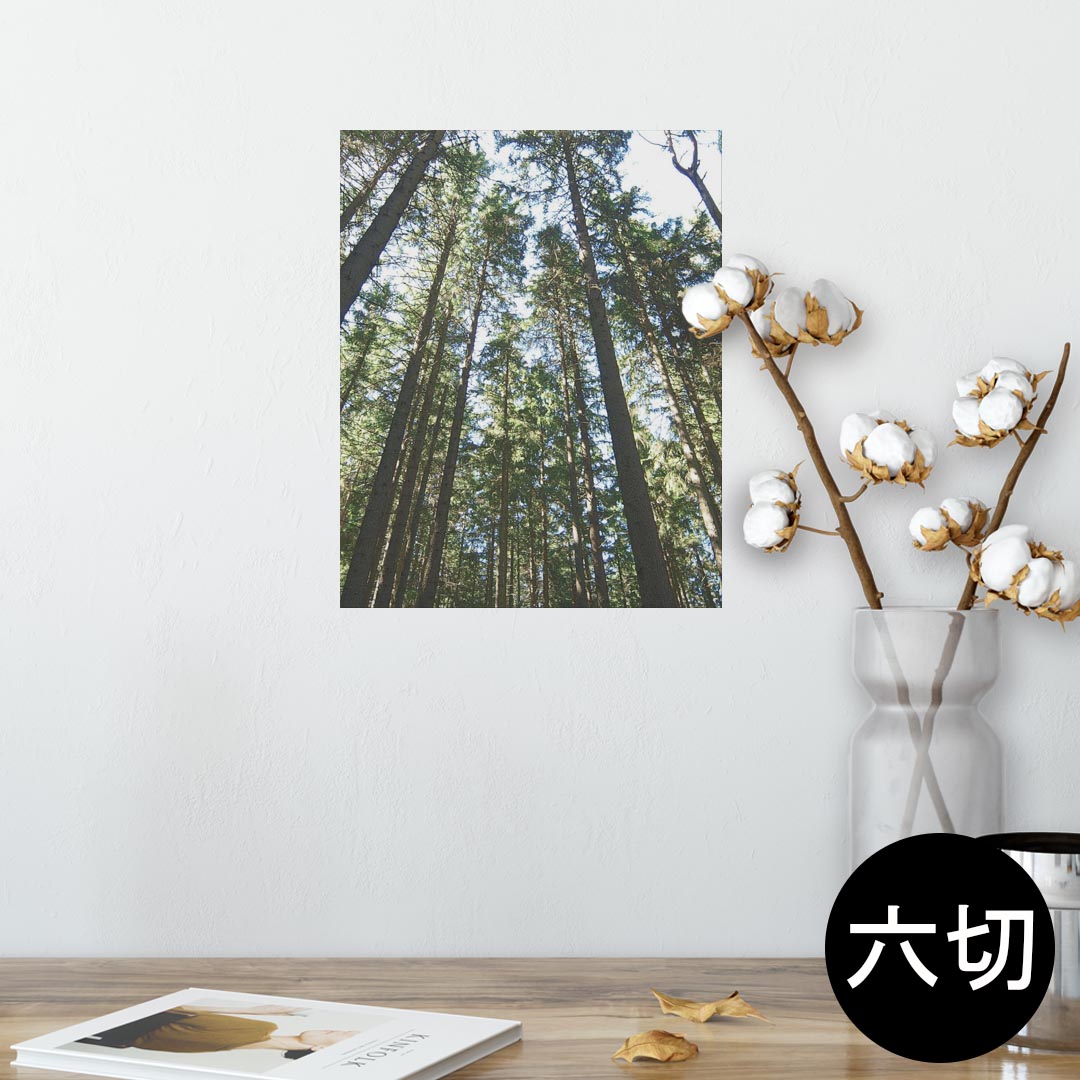 ポスター ウォールステッカー シール式ステッカー 飾り 203×254 六つ切り 写真 フォト 壁 インテリア おしゃれ 　剥がせる wall sticker poster 002581 景色　風景　写真