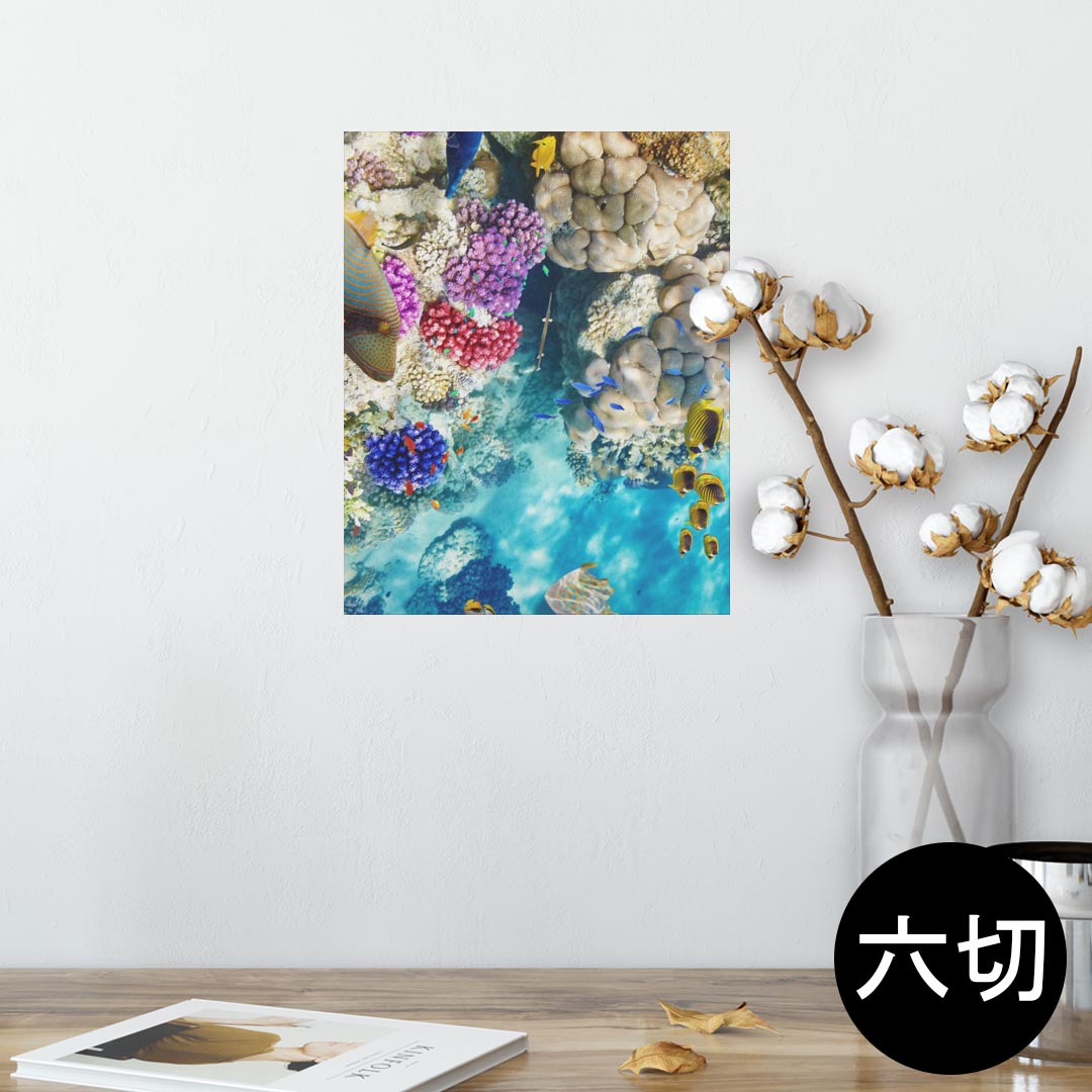 ポスター ウォールステッカー シール式ステッカー 飾り 203×254 六つ切り 写真 フォト 壁 インテリア おしゃれ 　剥がせる wall sticker poster 008923 写真　魚　海　珊瑚