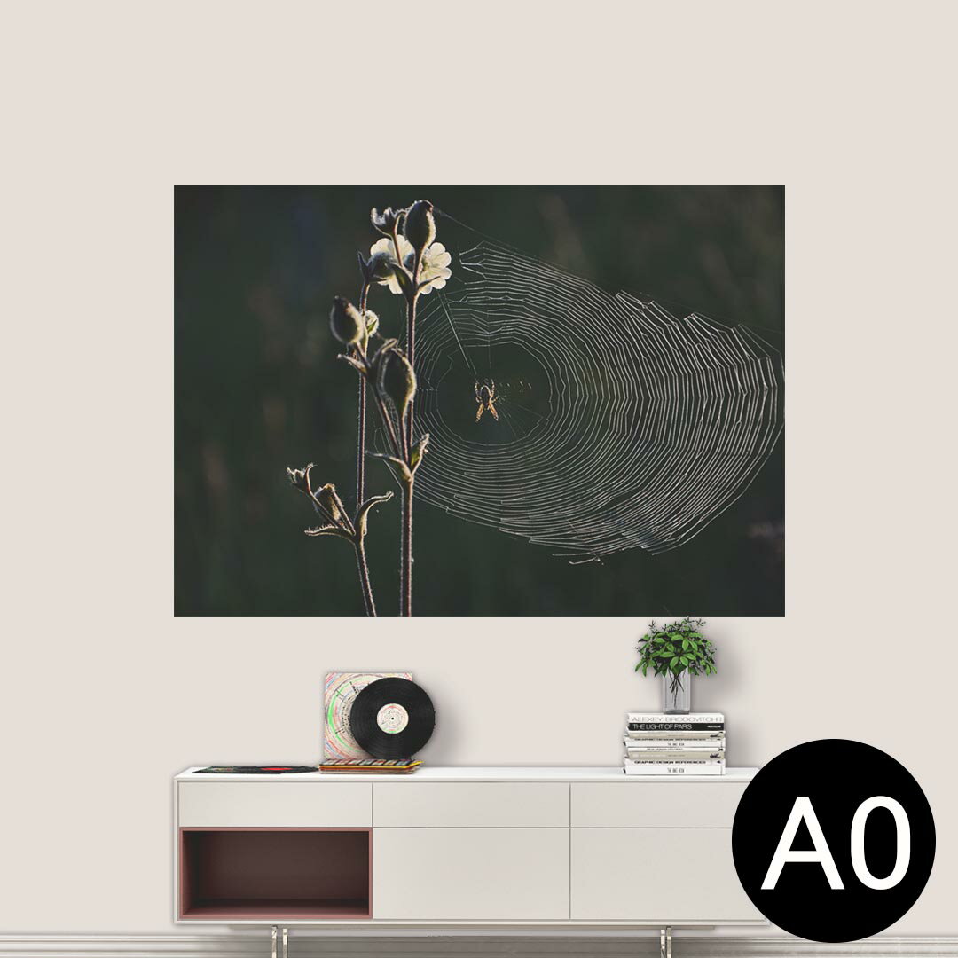 ポステッカー ポスター ウォールステッカー シール式ステッカー 飾り 841mm×1189mm A0 写真 フォト 壁 ..