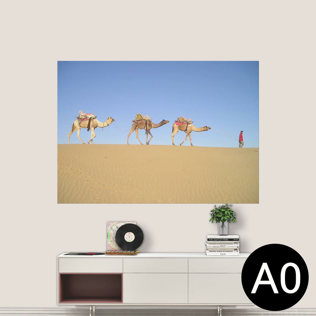 ポステッカー ポスター ウォールステッカー シール式ステッカー 飾り 841mm×1189mm A0 写真 フォト 壁 インテリア おしゃれ 剥がせる wall sticker poster 026034 動物　らくだ　砂漠