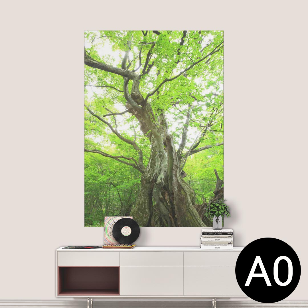 ݥƥå ݥ 륹ƥå 뼰ƥå  841mm1189mm A0 ̿ ե  ƥꥢ   wall sticker poster 005452 ̿ʪ