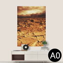 |XebJ[ |X^[ EH[XebJ[ V[XebJ[  841mm~1189mm A0 ʐ^ tHg  CeA   wall sticker poster 007728 ʐ^@F@uE@y@