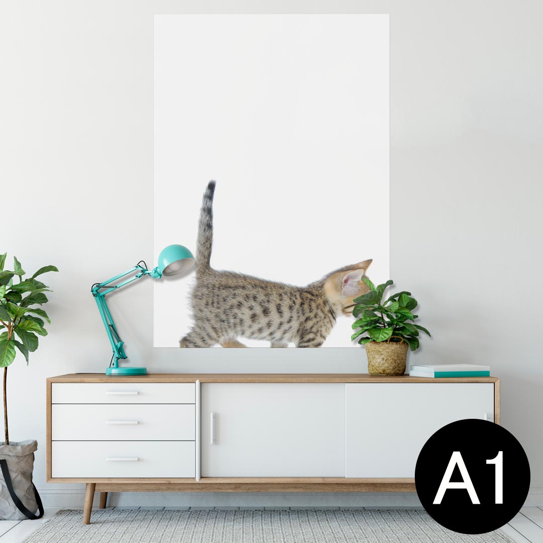 ポスター ウォールステッカー シール式ステッカー 飾り 594×841mm A1 写真 フォト 壁 インテリア おしゃれ 剥がせるwall sticker poster 000915 ネコ　子猫