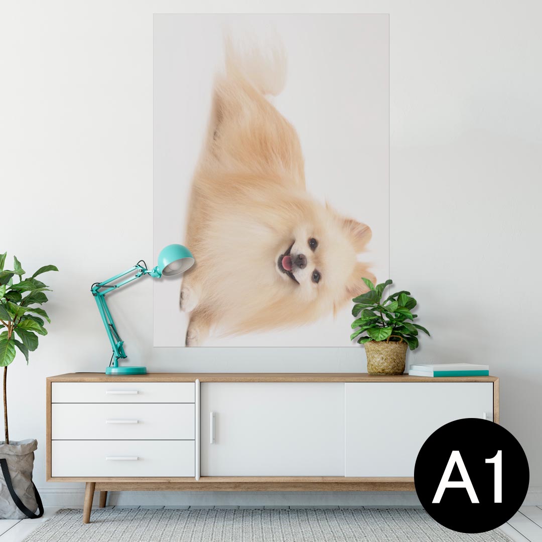 ポスター ウォールステッカー シール式ステッカー 飾り 594×841mm A1 写真 フォト 壁 インテリア おしゃれ 剥がせるwall sticker poster 002911 犬　動物　写真