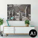 ポスター ウォールステッカー シール式ステッカー 飾り 594×841mm A1 写真 フォト 壁 インテリア おしゃれ 剥がせるwall sticker poster 023560 ミーアキャット 動物 写真