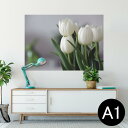 ポスター ウォールステッカー シール式ステッカー 飾り 594×841mm A1 写真 フォト 壁 インテリア おしゃれ 剥がせるwall sticker poster 023916 花 フラワー チューリップ