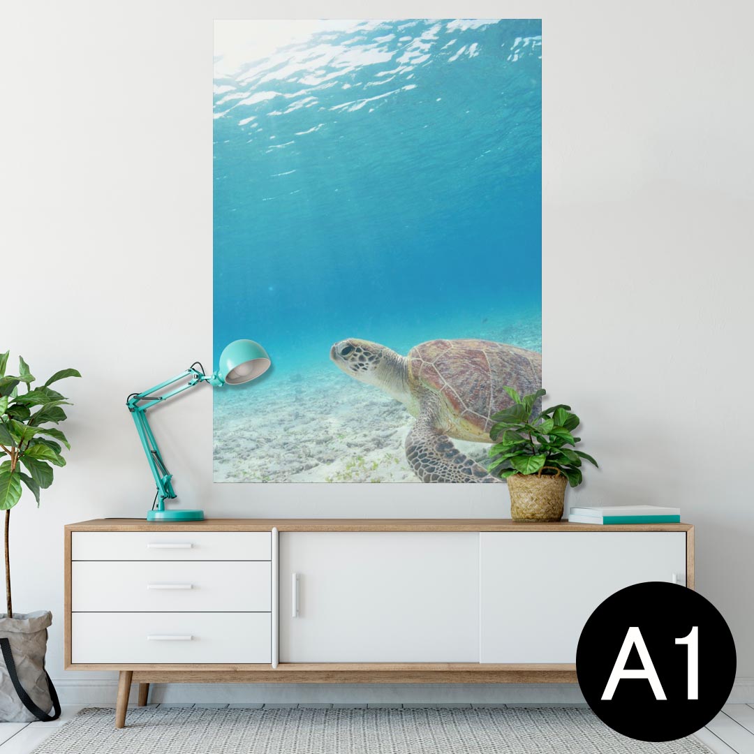 ポスター ウォールステッカー シール式ステッカー 飾り 594×841mm A1 写真 フォト 壁 インテリア おしゃれ 剥がせるwall sticker poster 004605 ウミガメ　海　写真