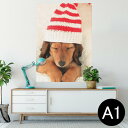 ポスター ウォールステッカー シール式ステッカー 飾り 594×841mm A1 写真 フォト 壁 インテリア おしゃれ 剥がせるwall sticker poster 008439 写真 犬 帽子 赤 レッド
