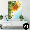 ポスター ウォールステッカー シール式ステッカー 飾り 594×841mm A1 写真 フォト 壁 インテリア おしゃれ 剥がせるwall sticker poster 011440 花 ひまわり 写真