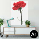 ポスター ウォールステッカー シール式ステッカー 飾り 594×841mm A1 写真 フォト 壁 インテリア おしゃれ 剥がせるwall sticker po...