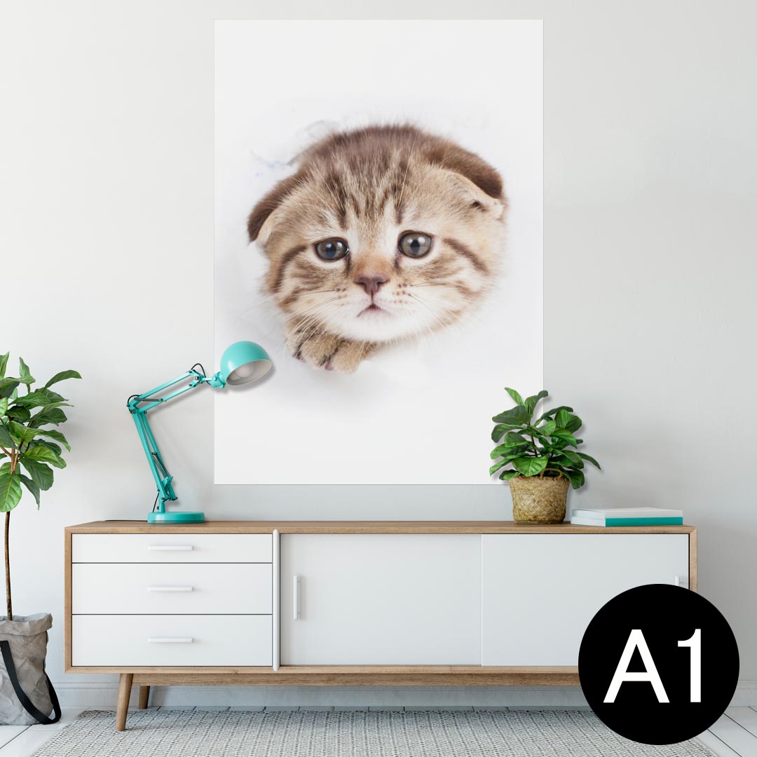ポスター ウォールステッカー シール式ステッカー 飾り 594×841mm A1 写真 フォト 壁 インテリア おしゃれ 剥がせるwall sticker poster 013568 猫　写真　子猫