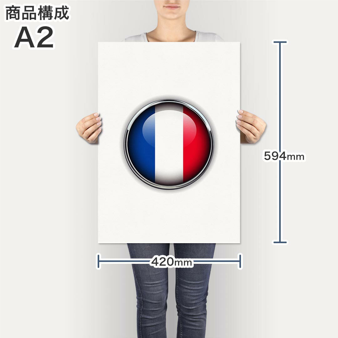 ポスター ウォールステッカー シール式ステッカー 飾り 420×594mm A2 写真 フォト 壁 インテリア おしゃれ 剥がせる wall sticker poster 000266 フランス　国旗　マーク