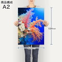 ポスター ウォールステッカー シール式ステッカー 飾り 420×594mm A2 写真 フォト 壁 インテリア おしゃれ 剥がせる wall sticker poster 003341 海　写真　景色　風景 3