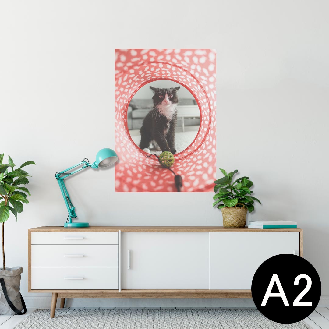 ポスター ウォールステッカー シール式ステッカー 飾り 420×594mm A2 写真 フォト 壁 インテリア おし..