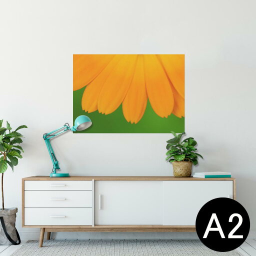 ポスター ウォールステッカー シール式ステッカー 飾り 420×594mm A2 写真 フォト 壁 インテリア おしゃれ 剥がせる wall sticker poster 023342 花びら フラワー 写真 ポスター ウォールステッカー シール式ステッカー 飾り 420×594mm A2 写真 フォト 壁 インテリア おしゃれ 剥がせる wall sticker poster 023342 花びら フラワー 写真