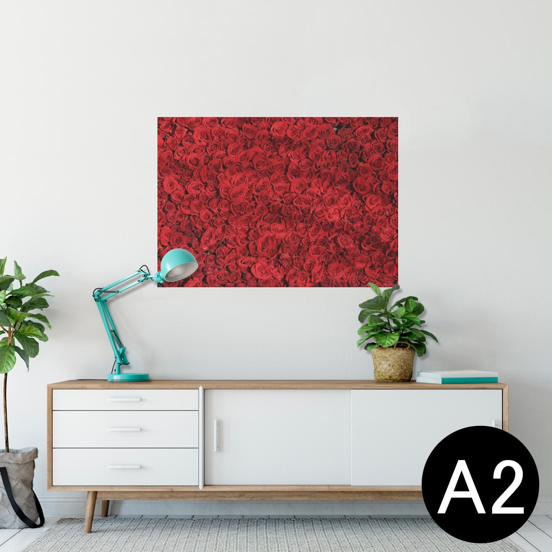 ポスター ウォールステッカー シール式ステッカー 飾り 420×594mm A2 写真 フォト 壁 インテリア おしゃれ 剥がせる wall sticker poster 023714 花　フラワー　バラ