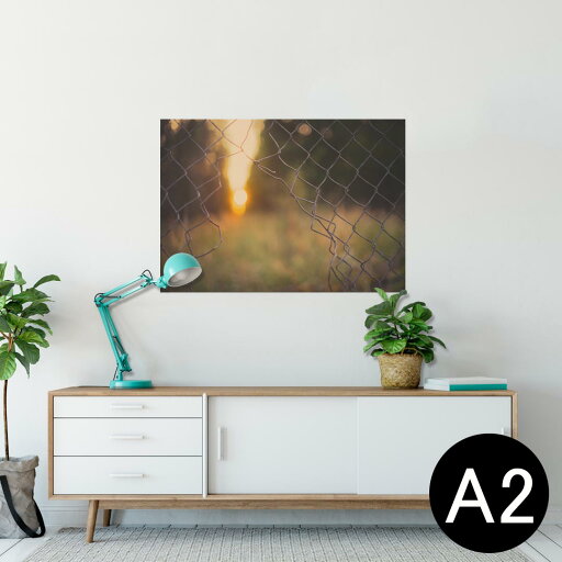 ポスター ウォールステッカー シール式ステッカー 飾り 420×594mm A2 写真 フォト 壁 インテリア おしゃれ 剥がせる wall sticker poster 025915 フェンス 日没 ポスター ウォールステッカー シール式ステッカー 飾り 420×594mm A2 写真 フォト 壁 インテリア おしゃれ 剥がせる wall sticker poster 025915 フェンス 日没