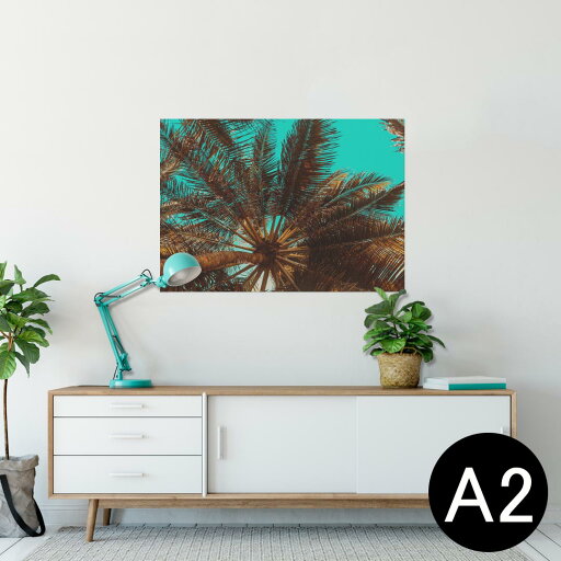 ポスター ウォールステッカー シール式ステッカー 飾り 420×594mm A2 写真 フォト 壁 インテリア おしゃれ 剥がせる wall sticker poster 025952 夏 ヤシの木 トロピカル 自然 ポスター ウォールステッカー シール式ステッカー 飾り 420×594mm A2 写真 フォト 壁 インテリア おしゃれ 剥がせる wall sticker poster 025952 夏 ヤシの木 トロピカル 自然