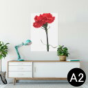 ポスター ウォールステッカー シール式ステッカー 飾り 420×594mm A2 写真 フォト 壁 インテリア おしゃれ 剥がせる wall sticker p...
