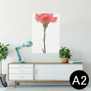 ポスター ウォールステッカー シール式ステッカー 飾り 420×594mm A2 写真 フォト 壁 インテリア おしゃれ 剥がせる wall sticker p...