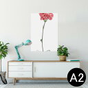 ポスター ウォールステッカー シール式ステッカー 飾り 420×594mm A2 写真 フォト 壁 インテリア おしゃれ 剥がせる wall sticker p...