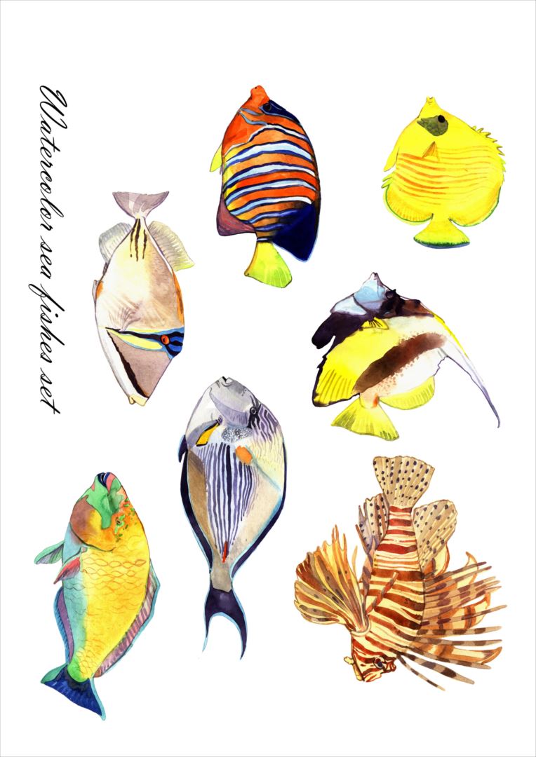 ポスター ウォールステッカー シール式ステッカー 飾り 420×594mm A2 写真 フォト 壁 インテリア おしゃれ 剥がせる wall sticker poster 014827 魚　イラスト