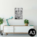 ポスター ウォールステッカー シール式ステッカー 飾り 297×420mm A3 写真 フォト 壁 インテリア おしゃれ 剥がせる wall sticker poster 001051 ライオン 動物(3)
