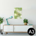 |X^[ EH[XebJ[ V[XebJ[  297~420mm A3 ʐ^ tHg  CeA   wall sticker poster 002183 Vv@