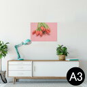 ポスター ウォールステッカー シール式ステッカー 飾り 297×420mm A3 写真 フォト 壁 インテリア おしゃれ 剥がせる wall sticker poster 023309 花 フラワー チューリップ 写真