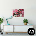 ポスター ウォールステッカー シール式ステッカー 飾り 297×420mm A3 写真 フォト 壁 インテリア おしゃれ 剥がせる wall sticker p...