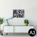 |X^[ EH[XebJ[ V[XebJ[  297~420mm A3 ʐ^ tHg  CeA   wall sticker poster 023449 ԁ@t[@ʐ^