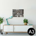 ポスター ウォールステッカー シール式ステッカー 飾り 297×420mm A3 写真 フォト 壁 インテリア おしゃれ 剥がせる wall sticker poster 023560 ミーアキャット 動物 写真