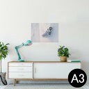 ポスター ウォールステッカー シール式ステッカー 飾り 297×420mm A3 写真 フォト 壁 インテリア おしゃれ 剥がせる wall sticker poster 023566 雪 自転車