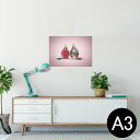 ポスター ウォールステッカー シール式ステッカー 飾り 297×420mm A3 写真 フォト 壁 インテリア おしゃれ 剥がせる wall sticker poster 023847 ドラゴンフルーツ 夏 ハワイ
