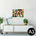 ポスター ウォールステッカー シール式ステッカー 飾り 297×420mm A3 写真 フォト 壁 インテリア おしゃれ 剥がせる wall sticker poster 023917 花 フラワー チューリップ