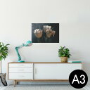 ポスター ウォールステッカー シール式ステッカー 飾り 297×420mm A3 写真 フォト 壁 インテリア おしゃれ 剥がせる wall sticker poster 023919 花 フラワー チューリップ
