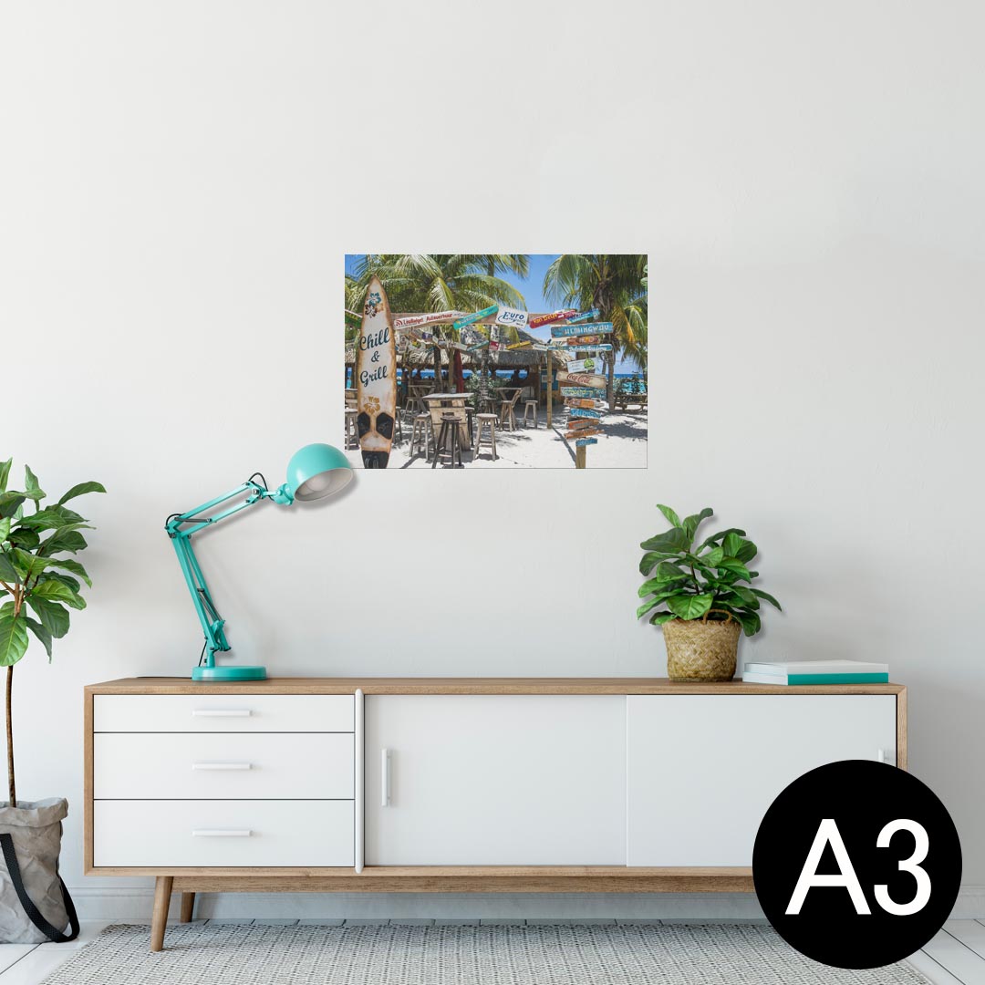 ポスター ウォールステッカー シール式ステッカー 飾り 297×420mm A3 写真 フォト 壁 インテリア おしゃれ 剥がせる wall sticker poster 023969 ヤシの木　ハワイ　サーフ