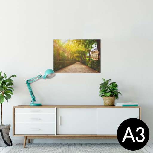 ポスター ウォールステッカー シール式ステッカー 飾り 297×420mm A3 写真 フォト 壁 インテリア おしゃれ 剥がせる wall sticker poster 025817 木 公園 太陽 ポスター ウォールステッカー シール式ステッカー 飾り 297×420mm A3 写真 フォト 壁 インテリア おしゃれ 剥がせる wall sticker poster 025817 木 公園 太陽