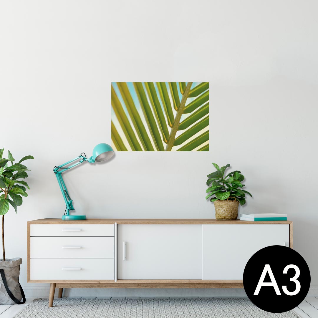 ポスター ウォールステッカー シール式ステッカー 飾り 297×420mm A3 写真 フォト 壁 インテリア おしゃれ 剥がせる wall sticker poster 025928 植物 葉 トロピカル
