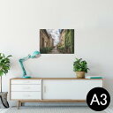 |X^[ EH[XebJ[ V[XebJ[  297~420mm A3 ʐ^ tHg  CeA   wall sticker poster 025994 @i