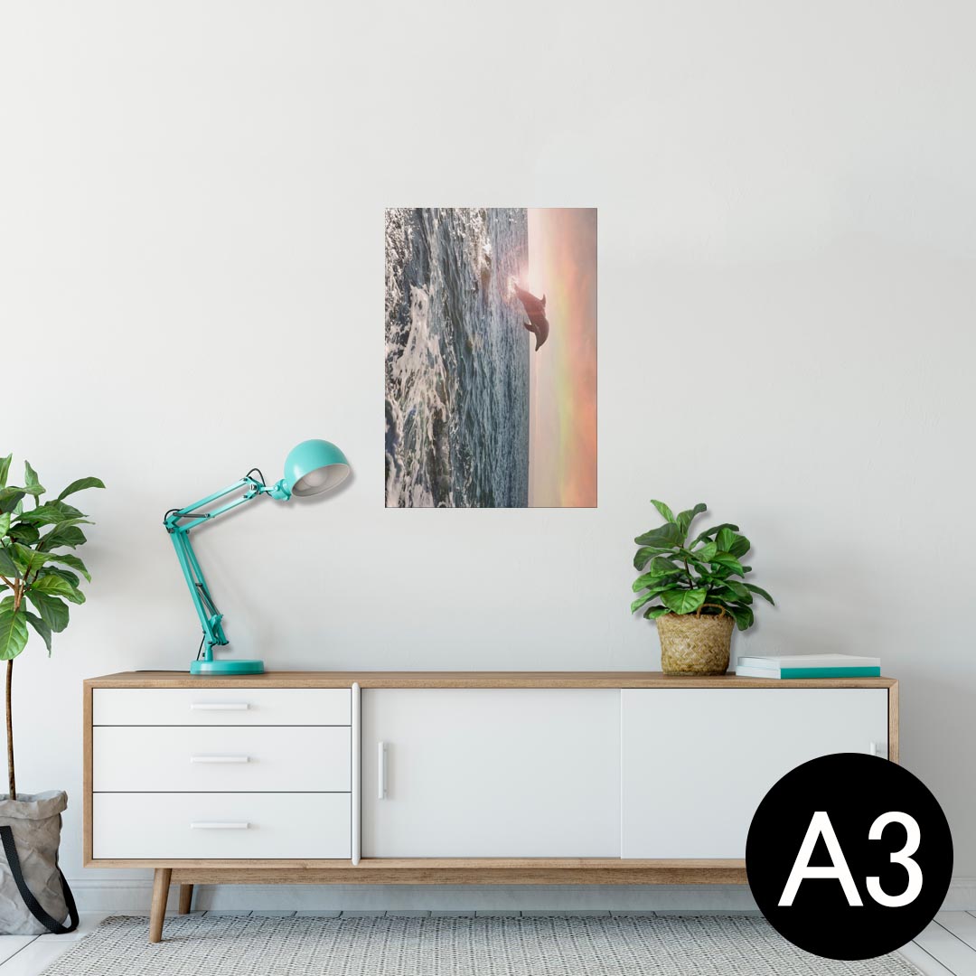 ポスター ウォールステッカー シール式ステッカー 飾り 297×420mm A3 写真 フォト 壁 インテリア おしゃれ 剥がせる wall sticker poster 010940 海 イルカ 写真