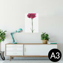 ポスター ウォールステッカー シール式ステッカー 飾り 297×420mm A3 写真 フォト 壁 インテリア おしゃれ 剥がせる wall sticker p...