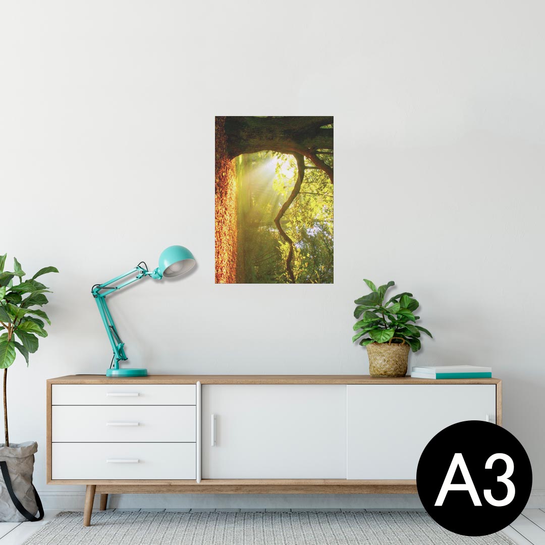 ポスター ウォールステッカー シール式ステッカー 飾り 297×420mm A3 写真 フォト 壁 インテリア おし..