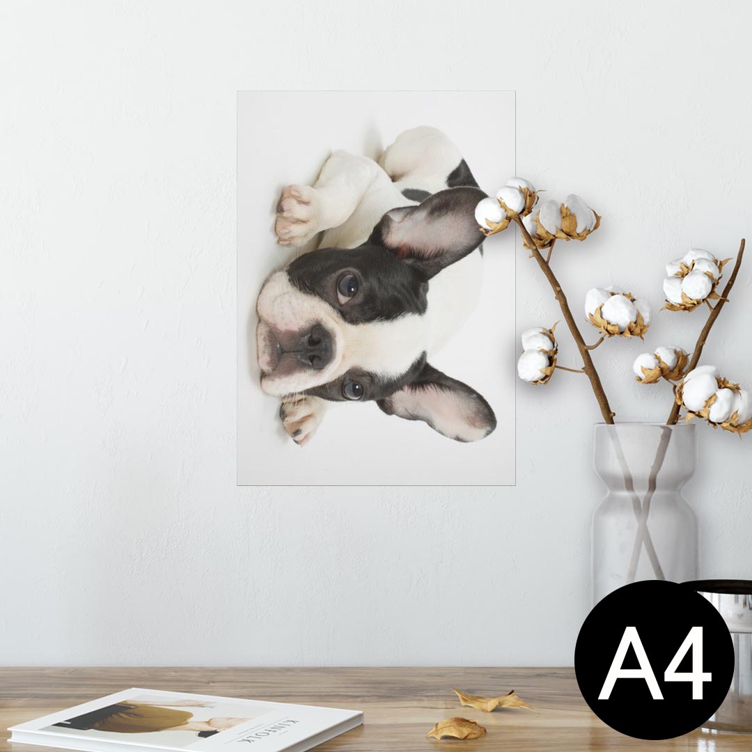 ポスター ウォールステッカー シール式ステッカー 飾り 210×297mm A4 写真 フォト 壁 インテリア おし..