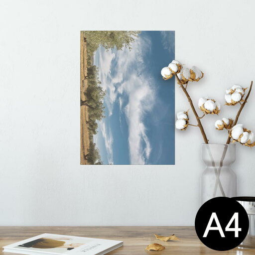 ポスター ウォールステッカー シール式ステッカー 飾り 210×297mm A4 写真 フォト 壁 インテリア おしゃれ 剥がせる wall sticker poster 002623 空 景色 写真 ポスター ウォールステッカー シール式ステッカー 飾り 210×297mm A4 写真 フォト 壁 インテリア おしゃれ 剥がせる wall sticker poster 002623 空 景色 写真