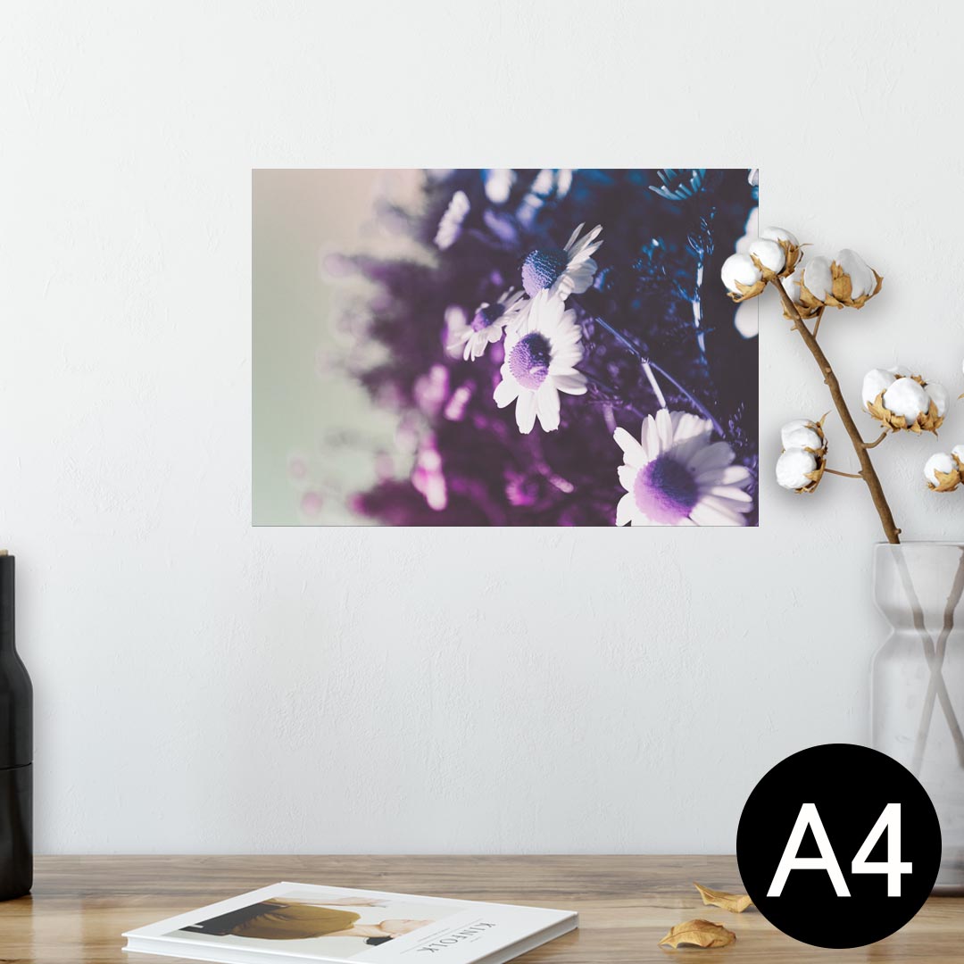 ポスター ウォールステッカー シール式ステッカー 飾り 210×297mm A4 写真 フォト 壁 インテリア おし..