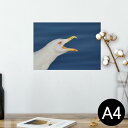 |X^[ EH[XebJ[ V[XebJ[  210~297mm A4 ʐ^ tHg  CeA   wall sticker poster 023414 @@ʐ^