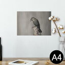 |X^[ EH[XebJ[ V[XebJ[  210~297mm A4 ʐ^ tHg  CeA   wall sticker poster 023718 @@Aj}